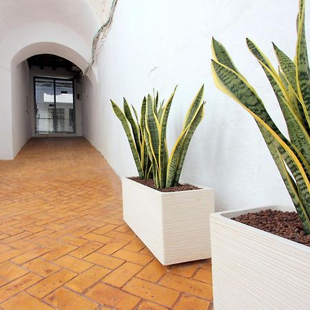 Apart Conil10 Conil De La Frontera Zewnętrze zdjęcie